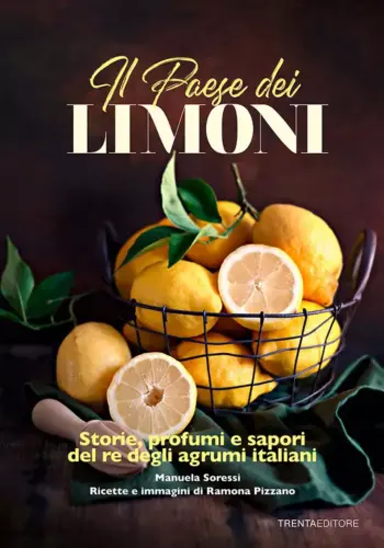 Il paese dei limoni cover