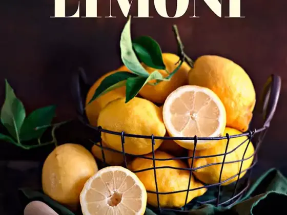 Il paese dei limoni cover