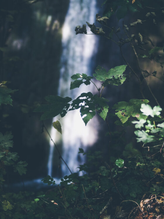 image00005