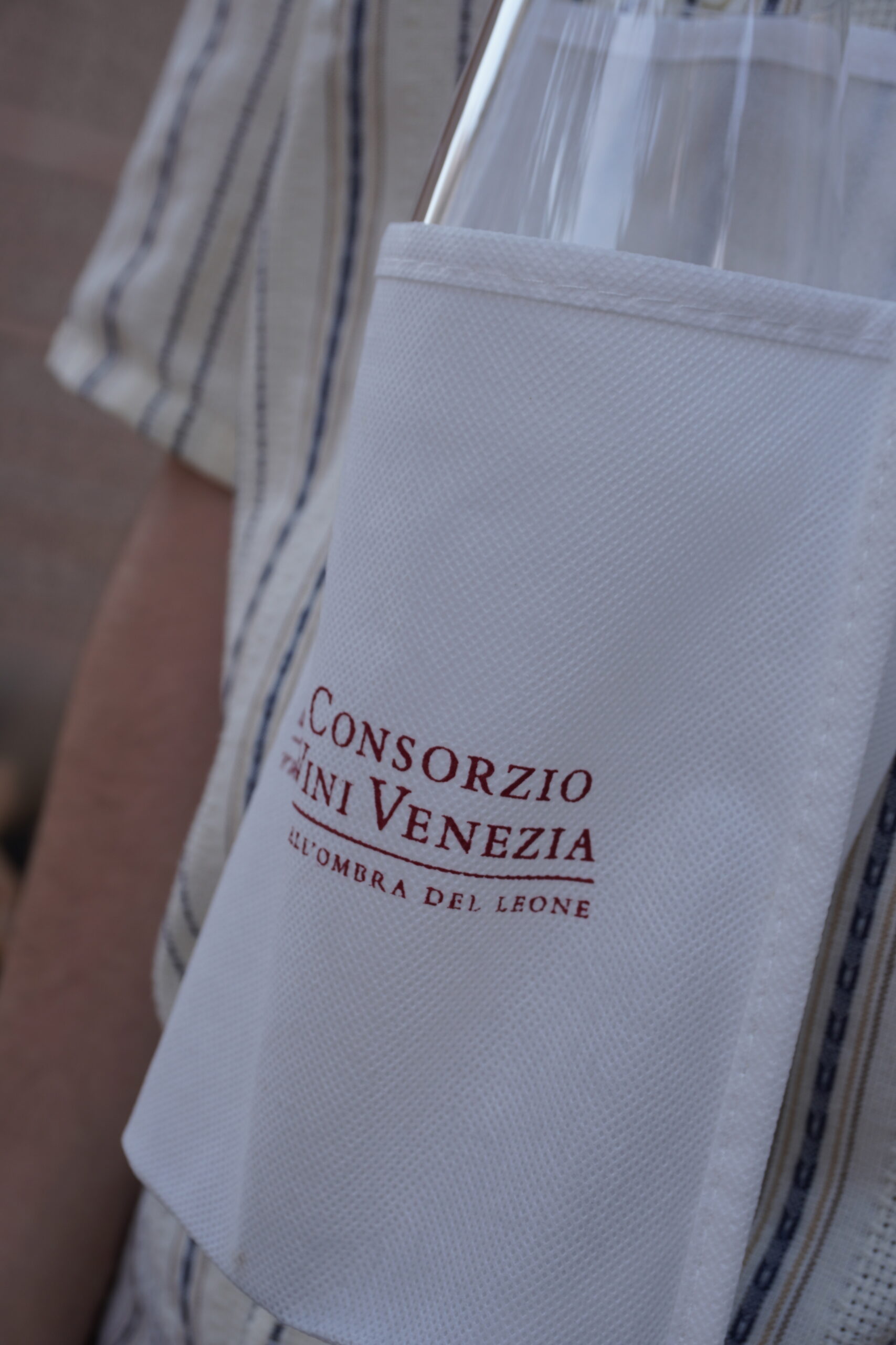feel venice 2025 l8217evento da non perdere per scoprire i vini del territorio veneziano