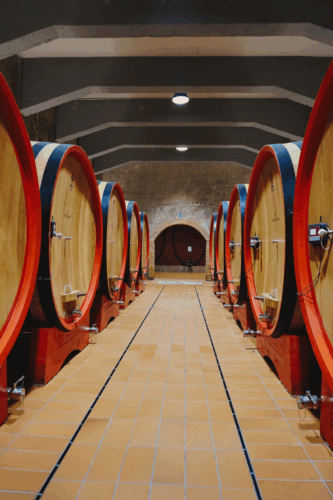 Cantine Giacomo Montresor: una storia vinicola che attraversa i secoli Cantine Giacomo Montresor: una storia vinicola che attraversa i secoli