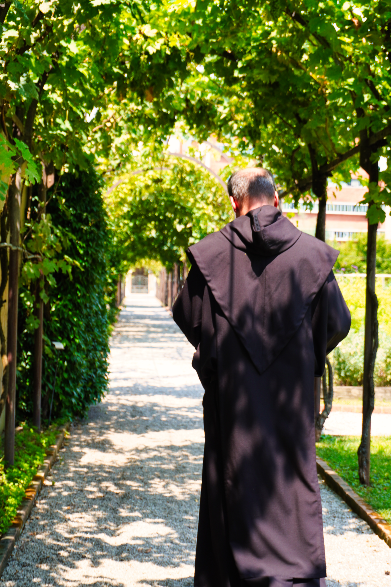 il giardino mistico degli scalzi a venezia spiritualit224 biodiversit224 e vitigni antichi nel cuore della citt224