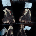 beef 4