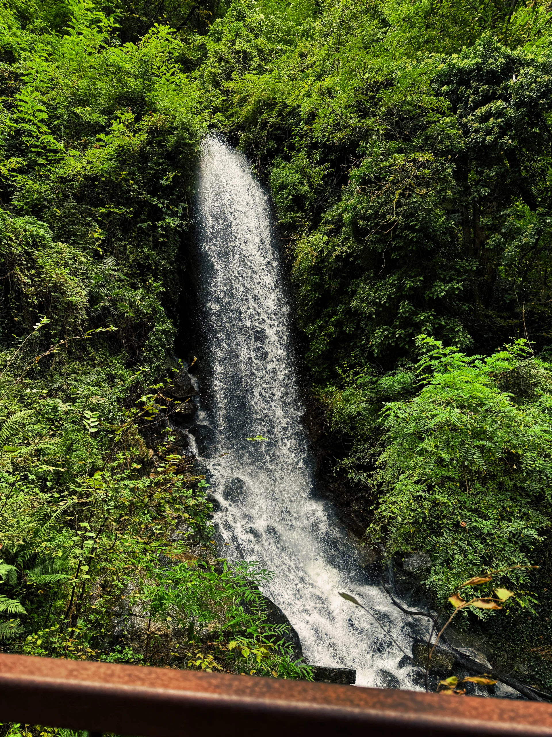Passeggiata nella Gola di Lana: tra pareti di porfido, cascate e natura selvaggia Passeggiata nella Gola di Lana: tra pareti di porfido, cascate e natura selvaggia