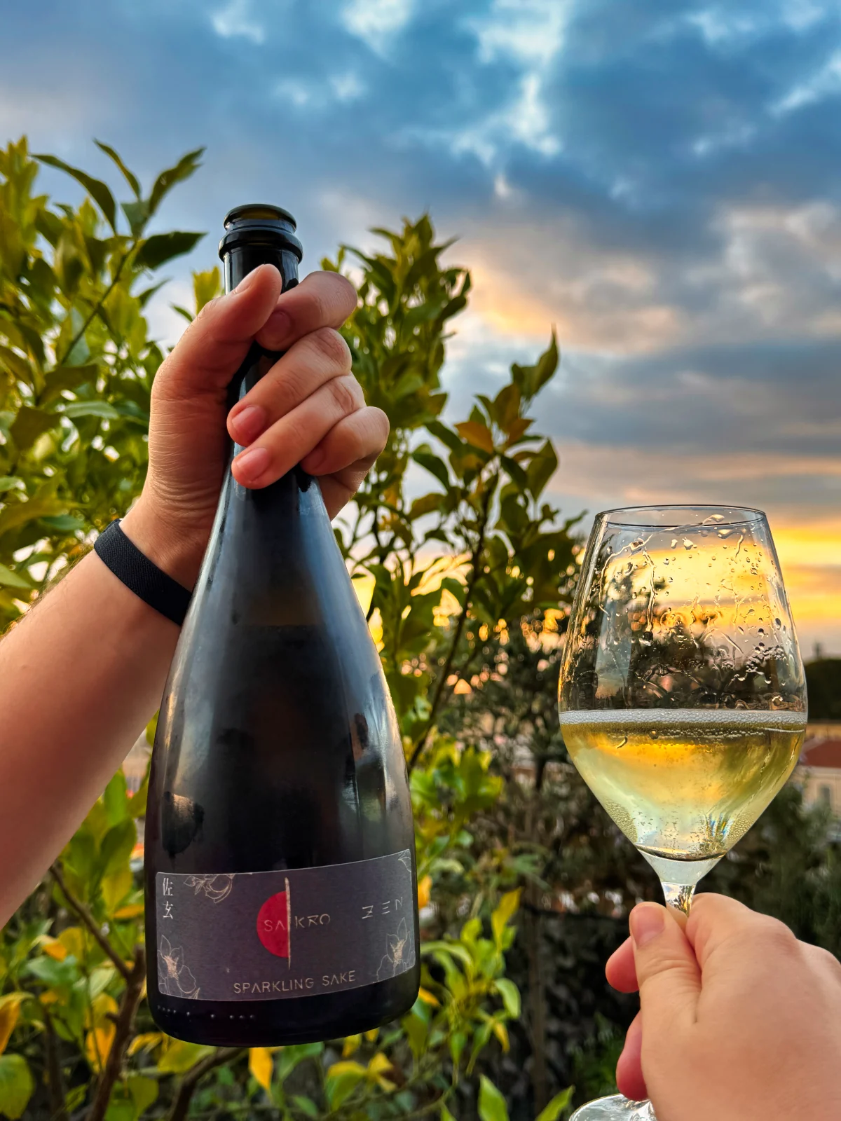 sa k233n quando il rito del sak232 incontra il metodo classico della franciacorta