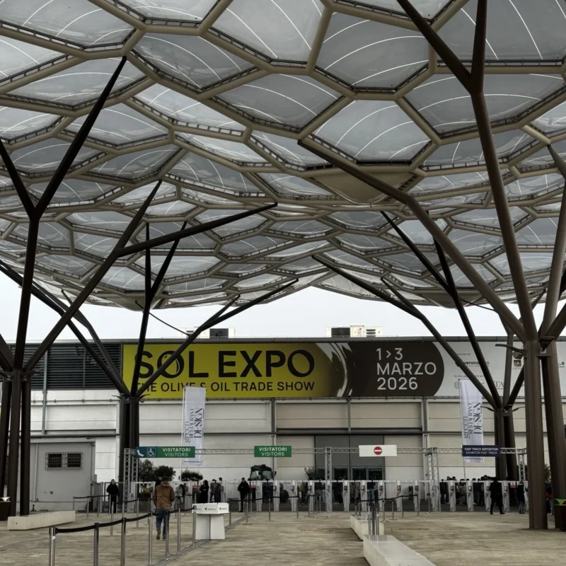 Sol Expo 9