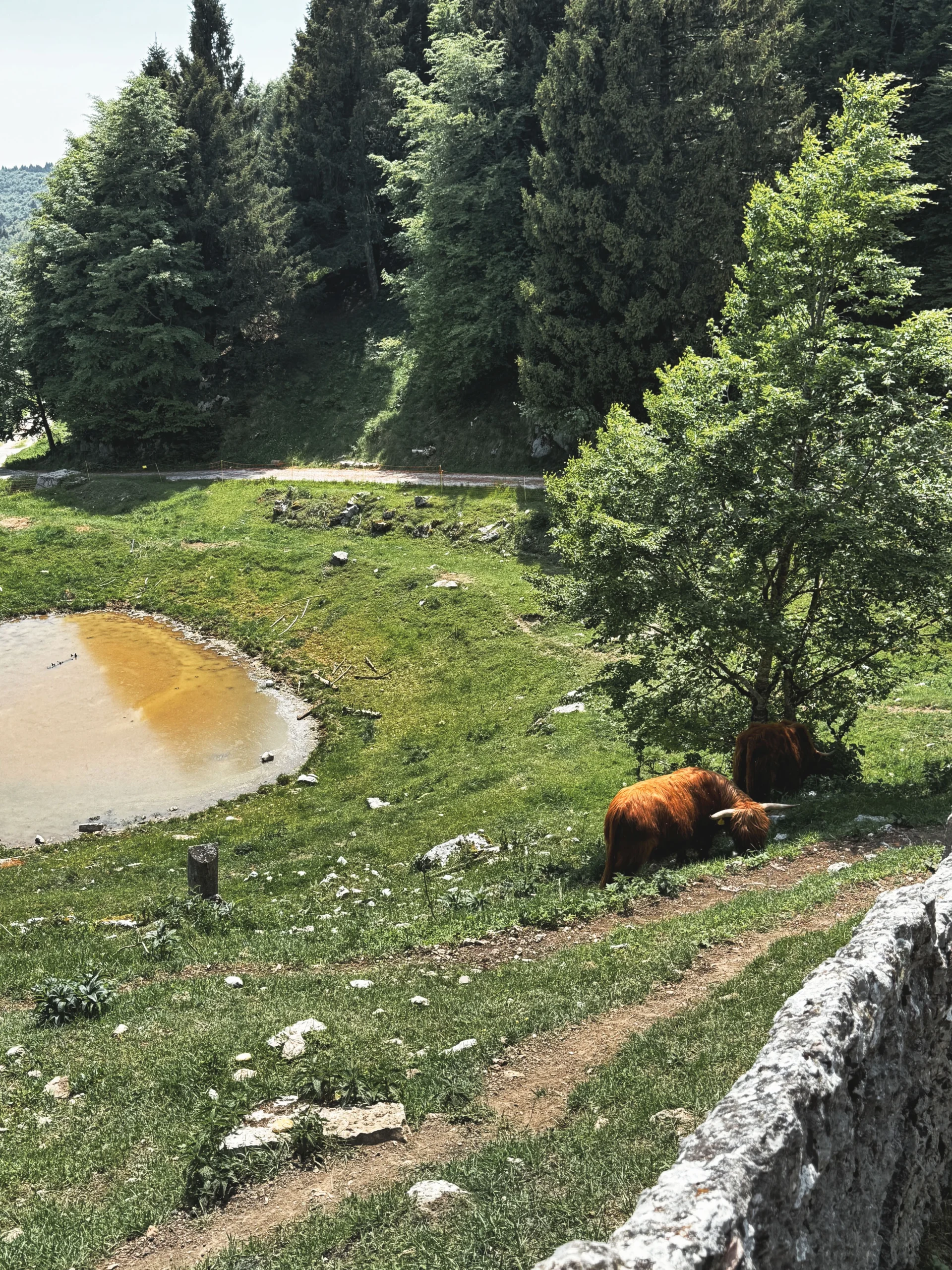 Malga Derocon