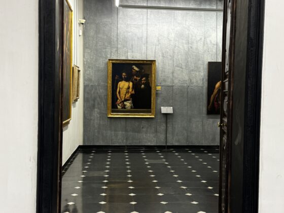 Musei di Strada Nuova 14