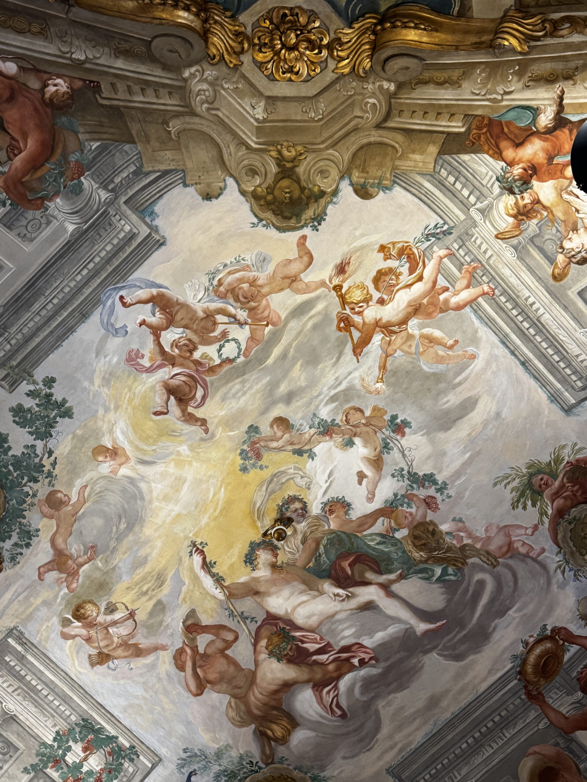 Musei di Strada Nuova Genova: capolavori da non perdere 13 Musei di Strada Nuova 4