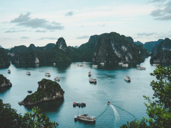 ammie ngo vcu OZBxxRk unsplash